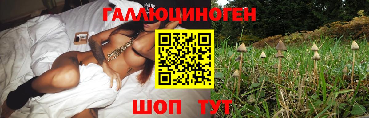 Чусовой  наркошоп  Вход с VPN  Галлюциногенные грибы Psilocybe 