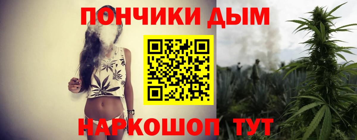 Конопля планчик Чусовой
